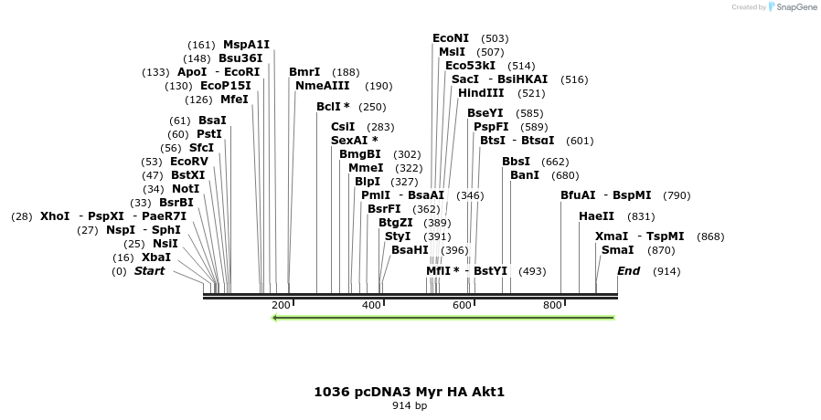 104234_map