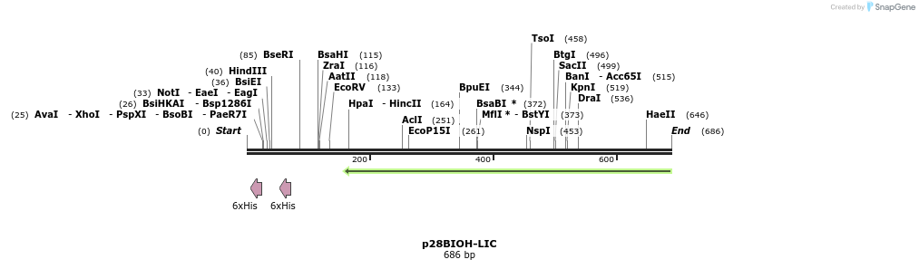 104238_map