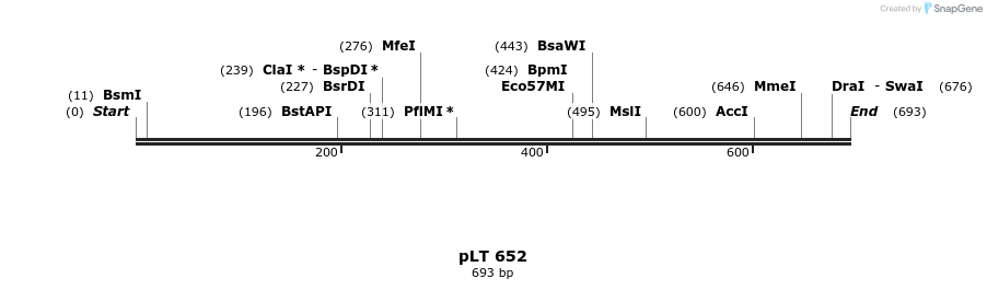 104245_map