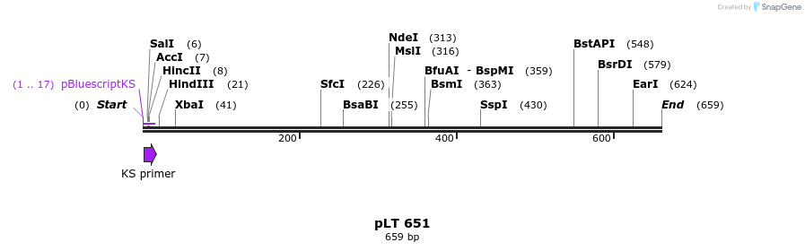 104248_map