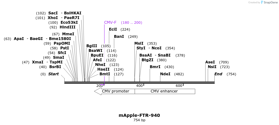 104254_map