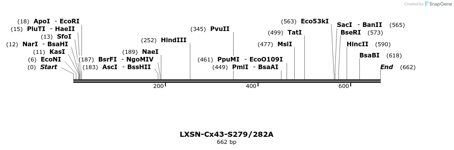 104255_map