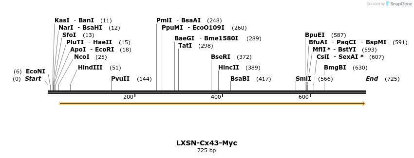 104256_map
