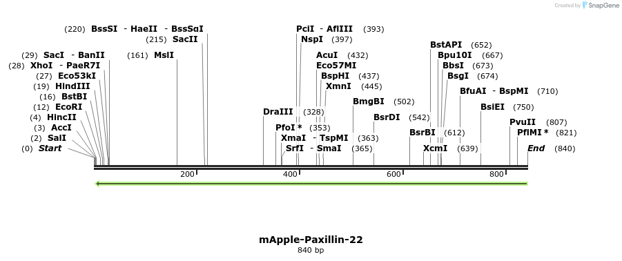104258_map