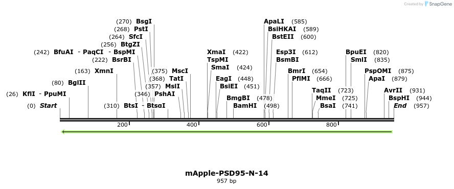 104259_map