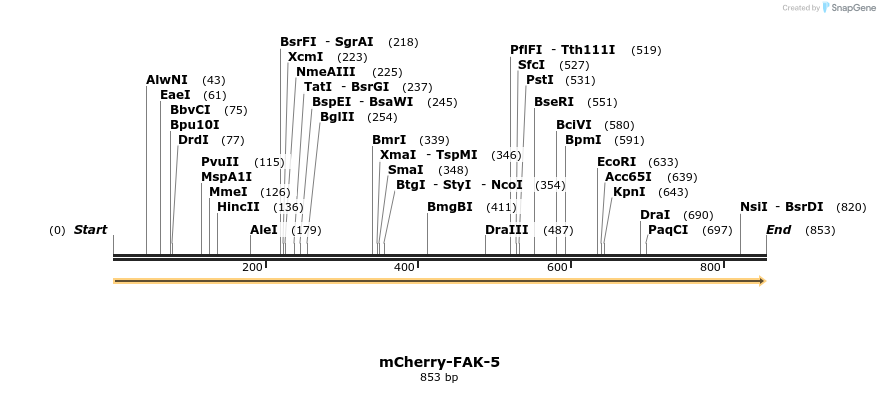 104260_map