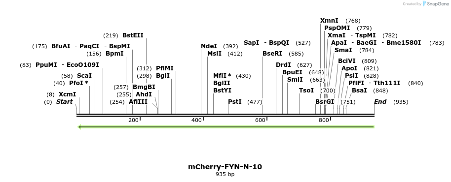 104261_map