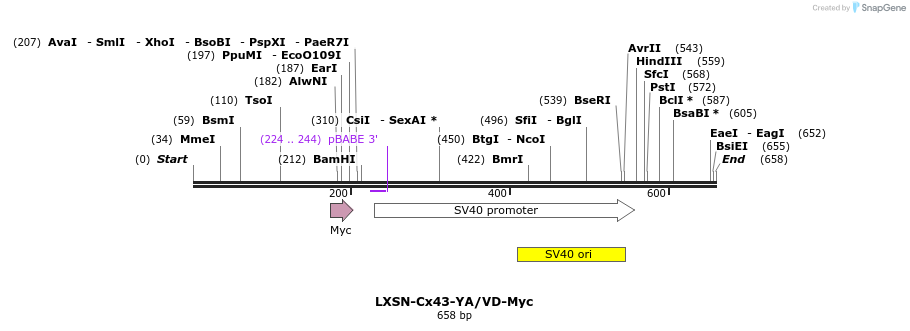 104262_map