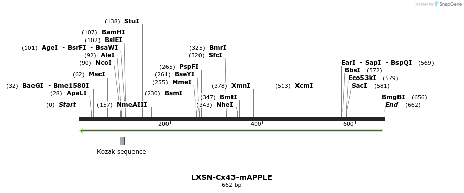 104264_map