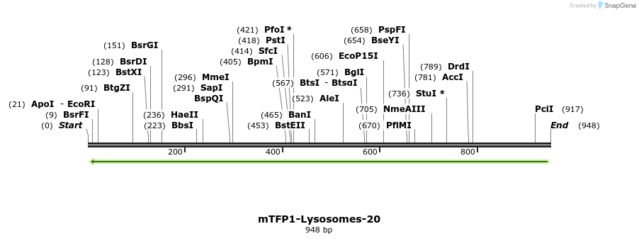 104265_map