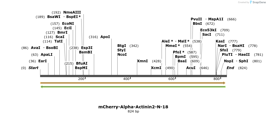 104266_map
