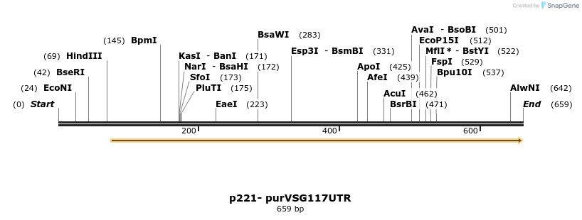 104269_map