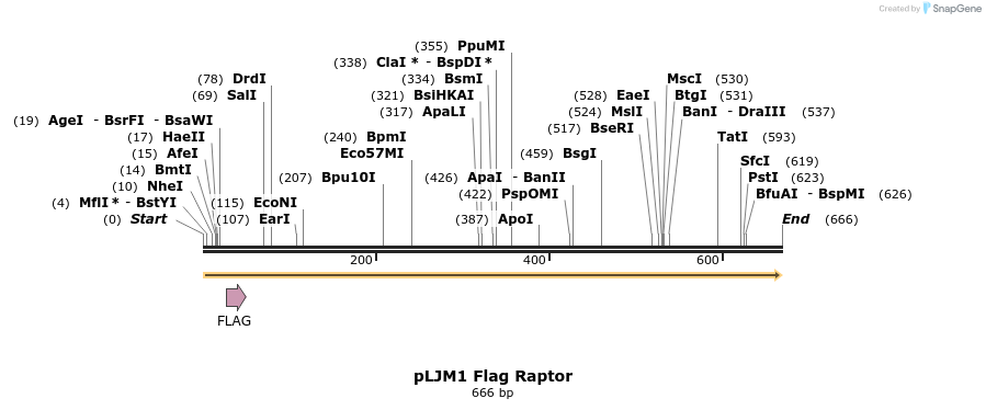 104271_map