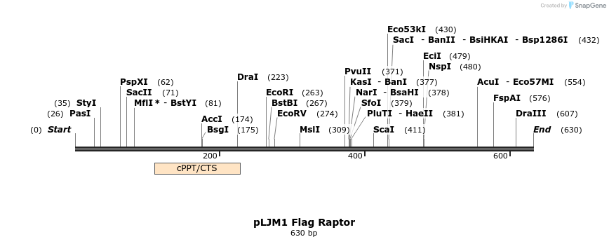 104272_map