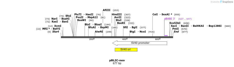 104274_map