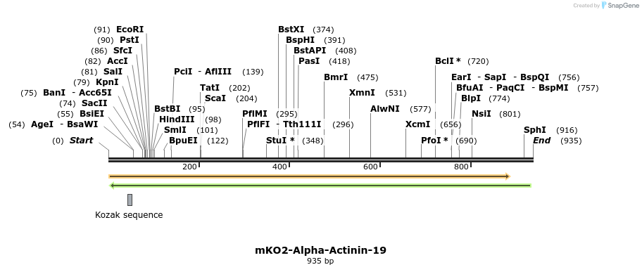 104275_map