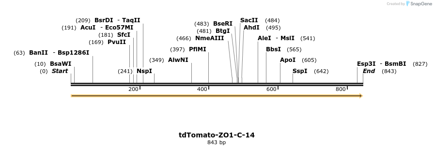 104279_map