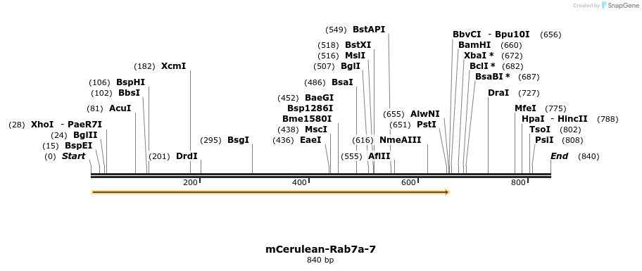 104283_map