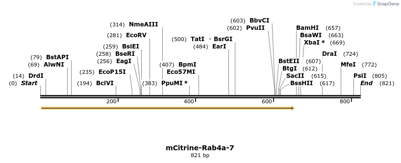 104289_map