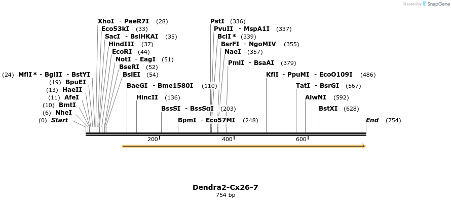 104293_map