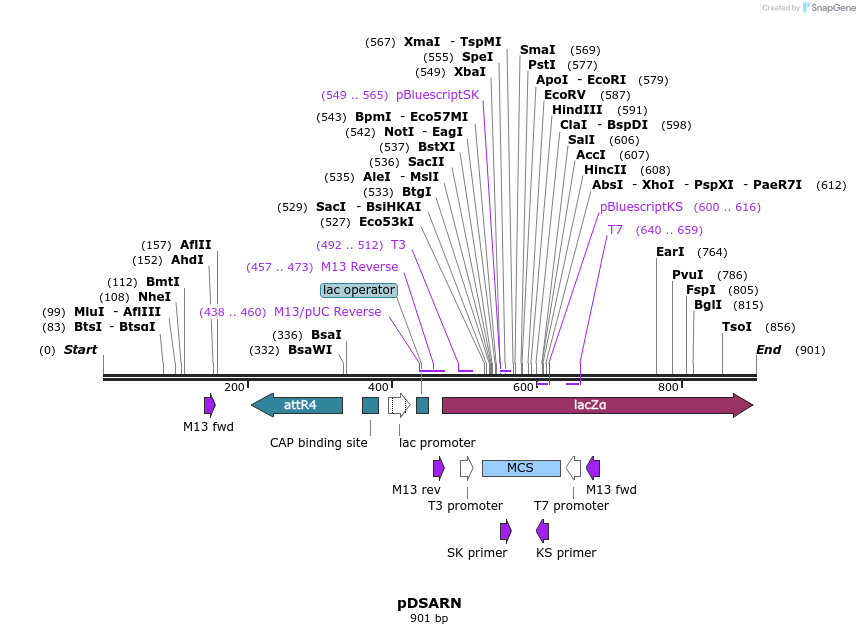 104301_map