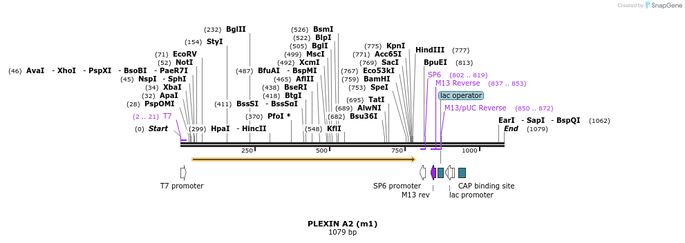 104307_map