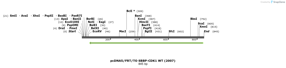 104309_map