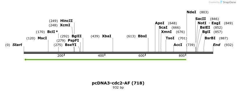 104311_map