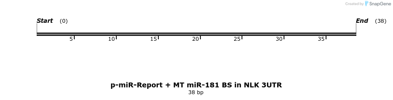 10432_map