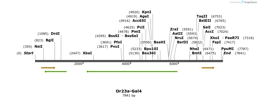 104327_map