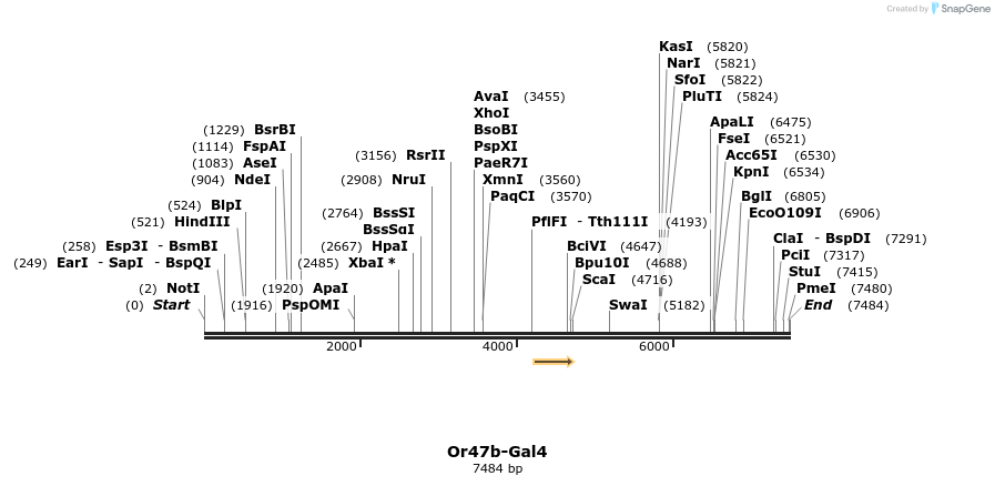 104329_map
