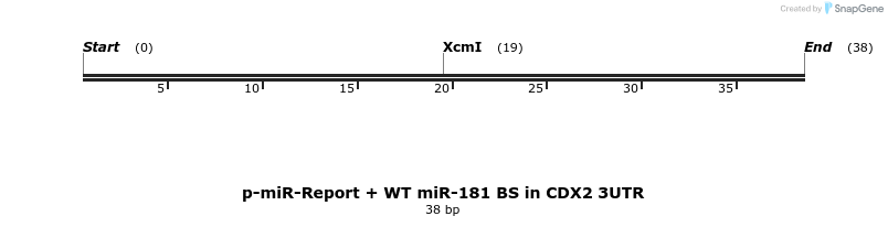 10433_map