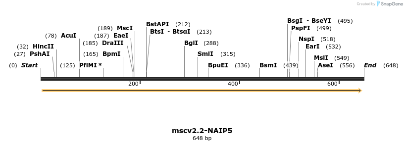 104330_map
