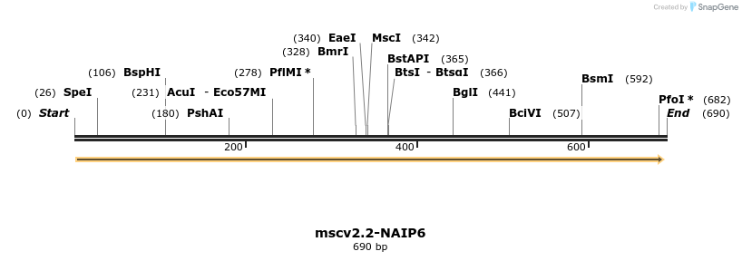 104331_map