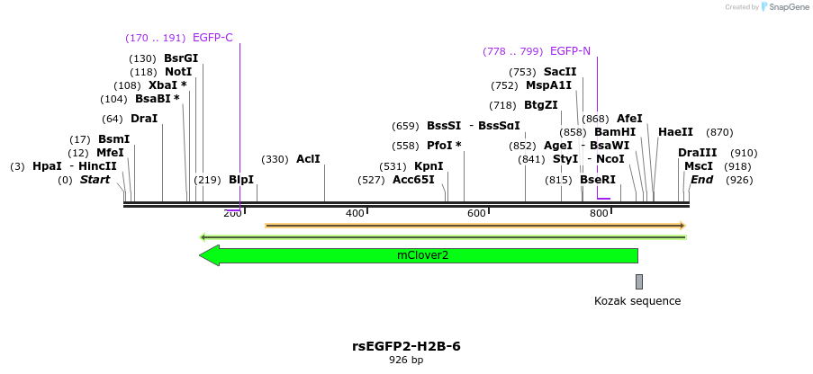 104333_map