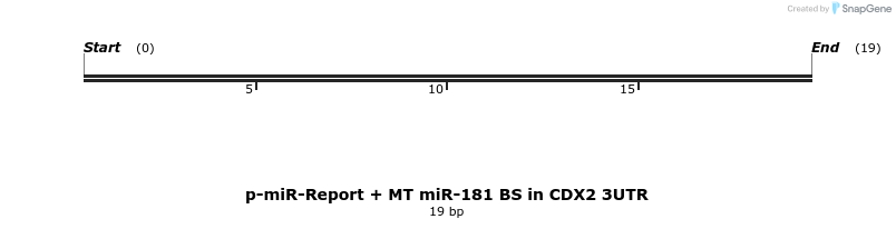 10434_map