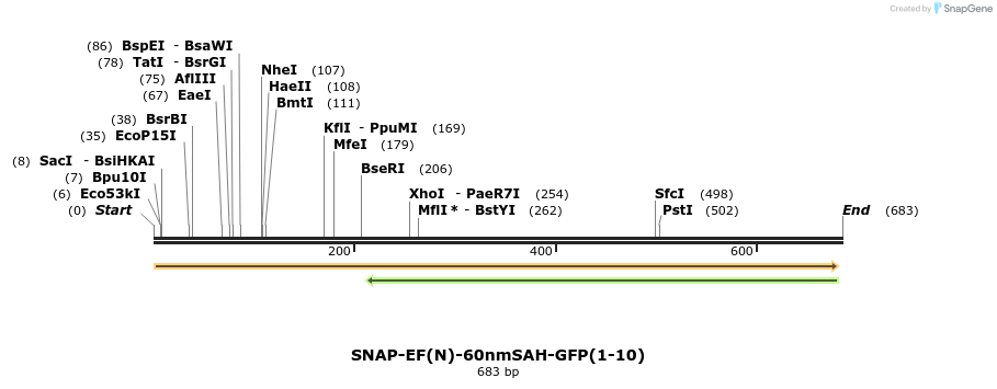 104343_map