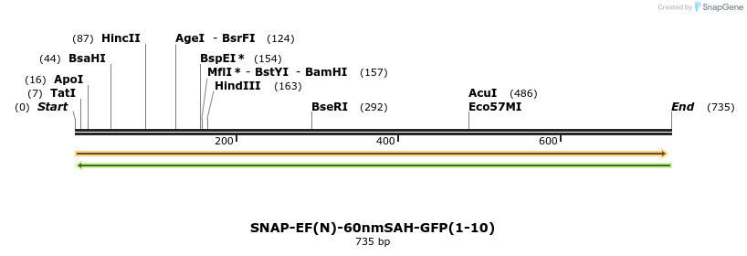 104345_map