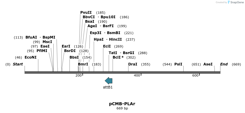 104346_map