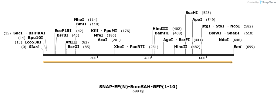 104347_map