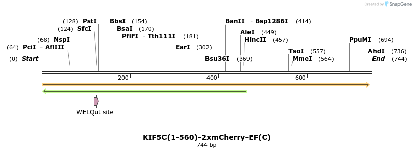 104349_map