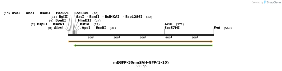 104350_map