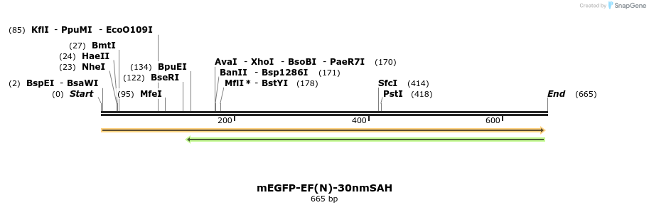 104351_map