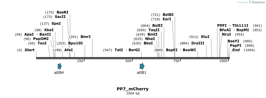 104353_map