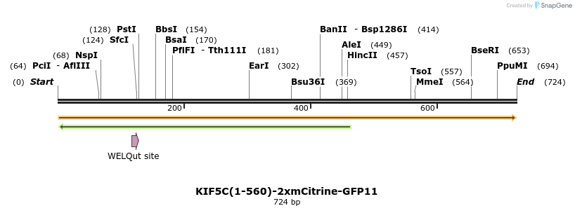 104355_map