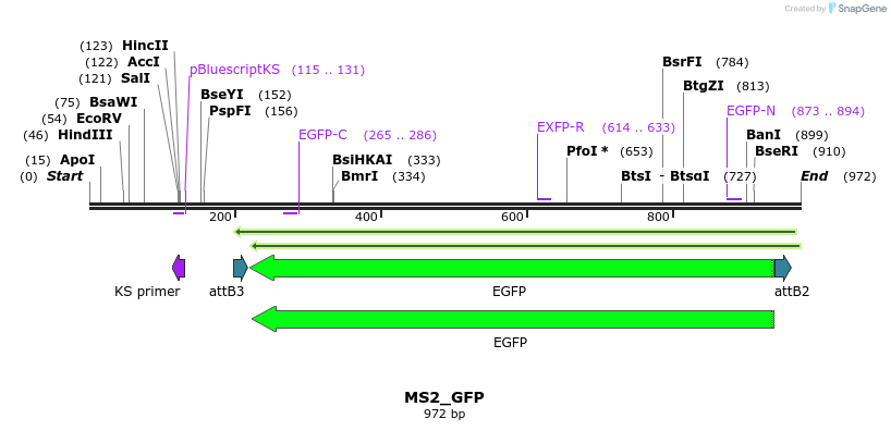 104360_map