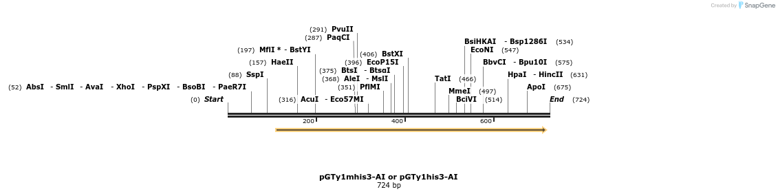 104361_map