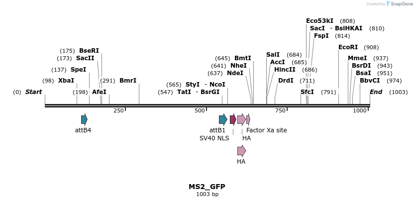 104362_map