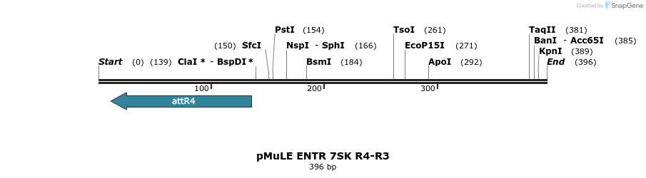 104363_map