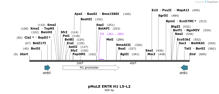 104366_map